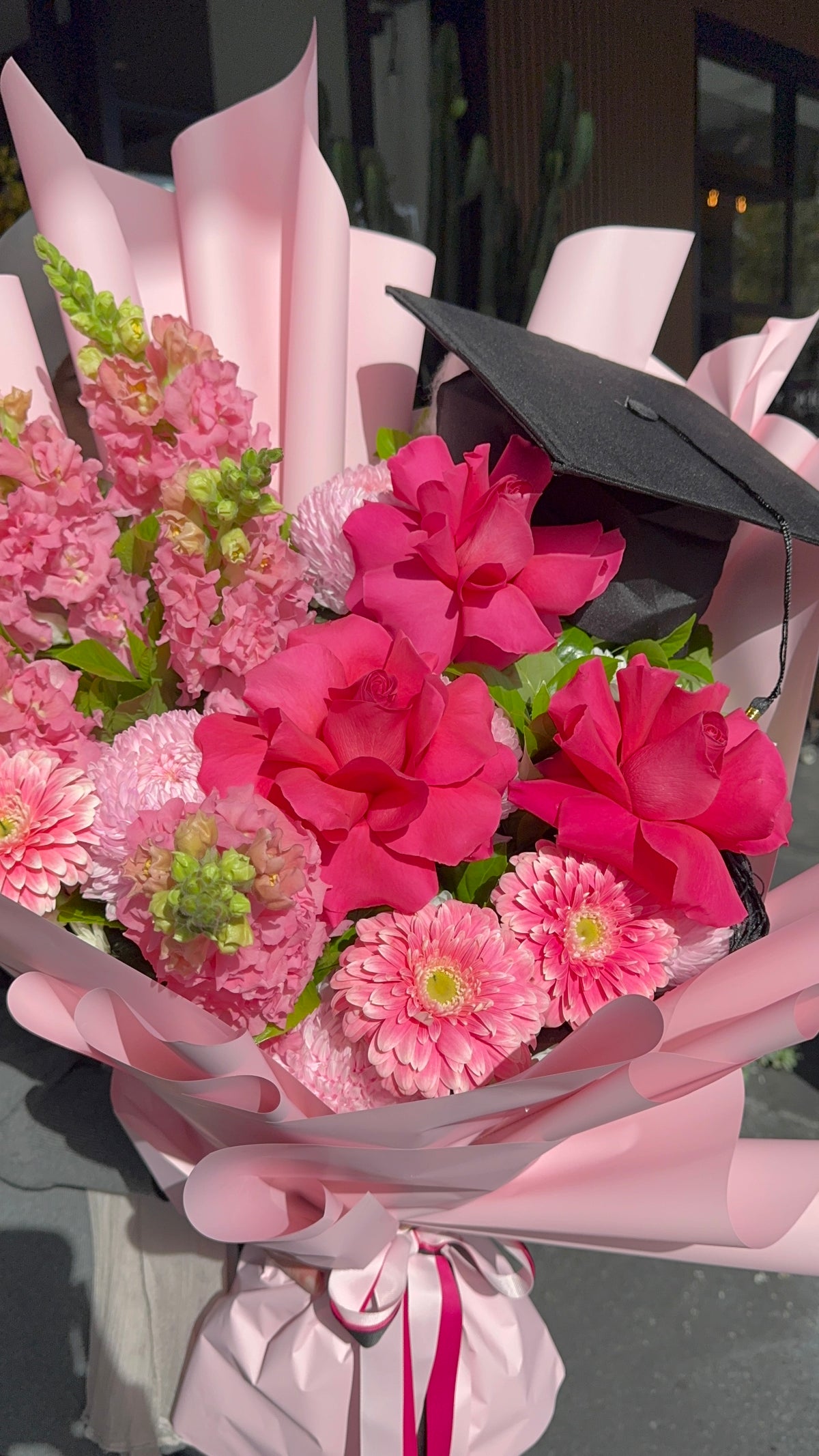 The Graduate pink