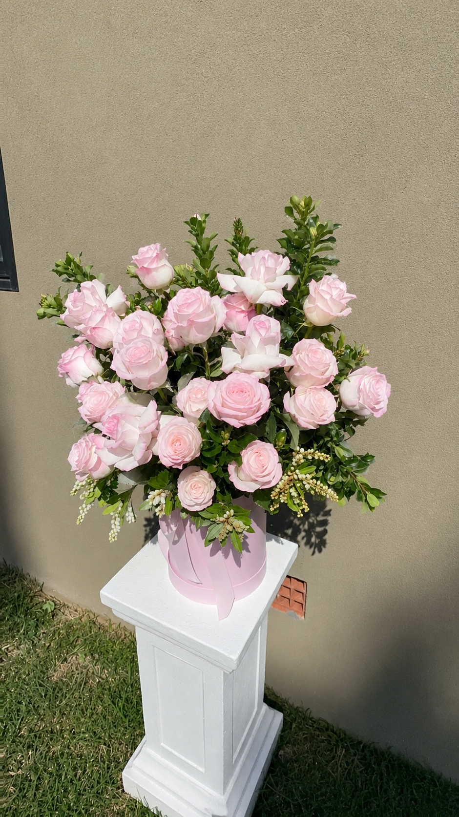 Pink Rose Paradise 🌸🌹