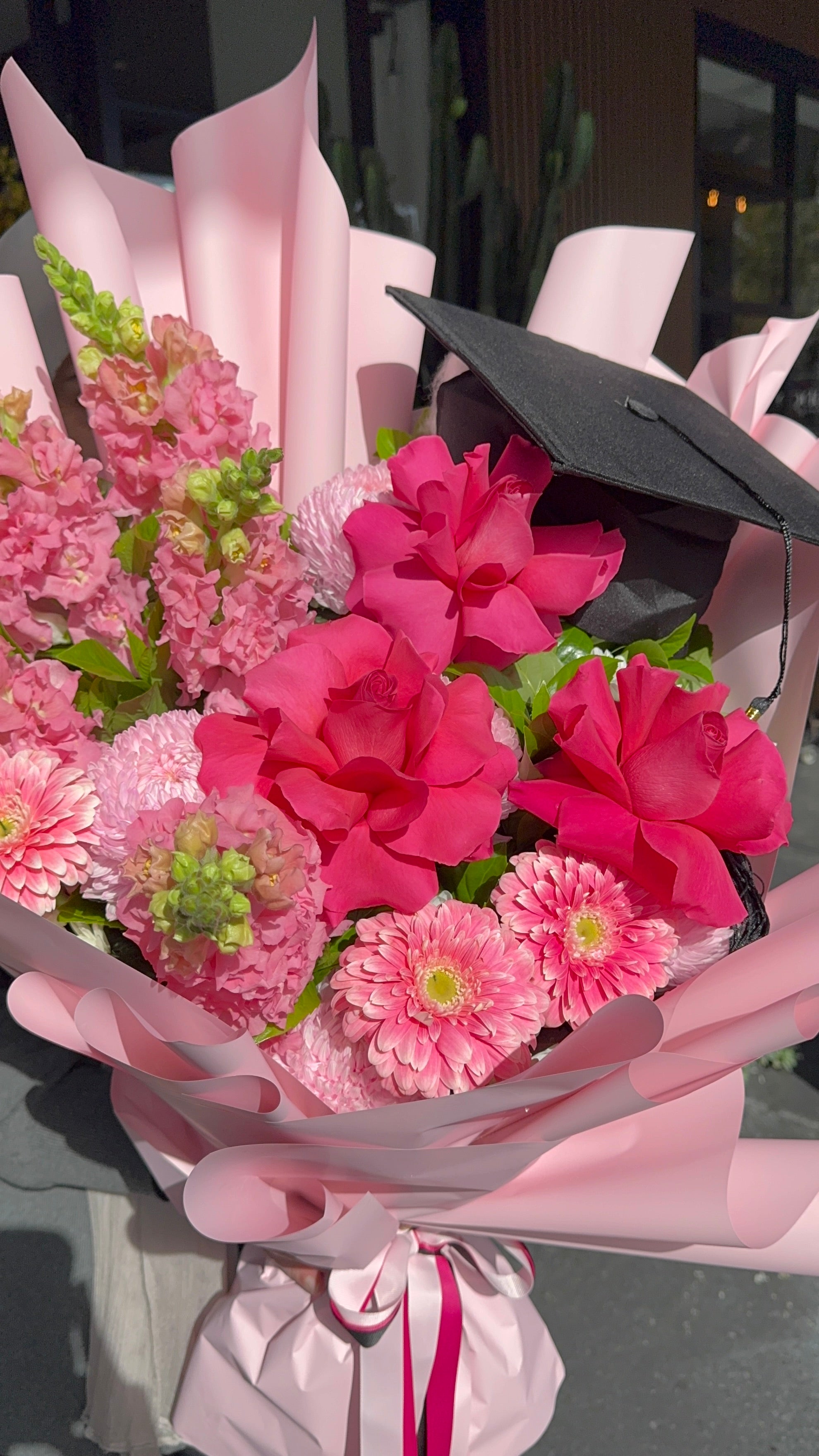 The Graduate pink