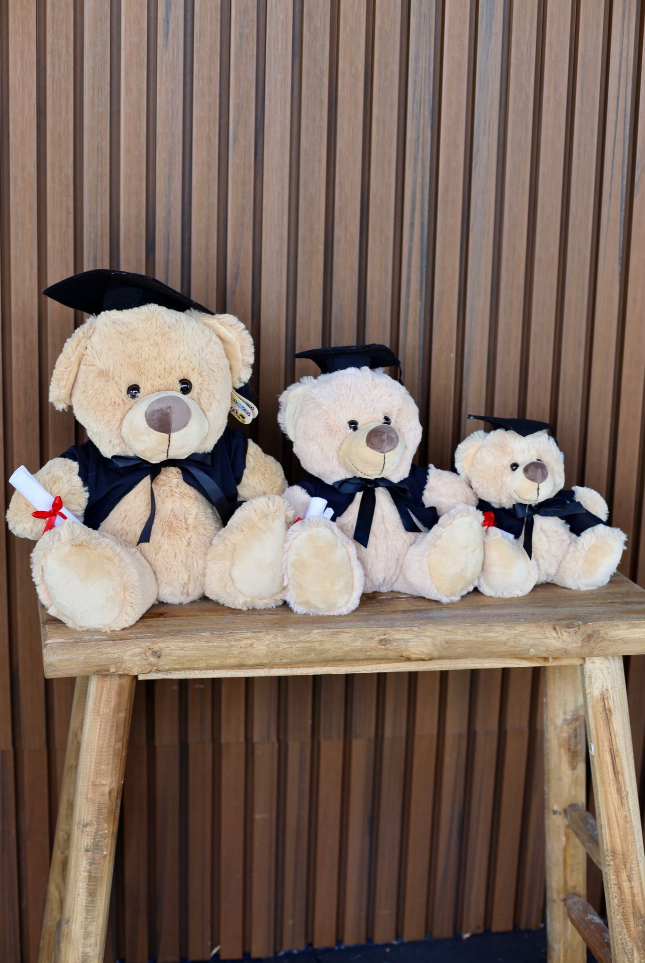 Graduation Teddy Bears