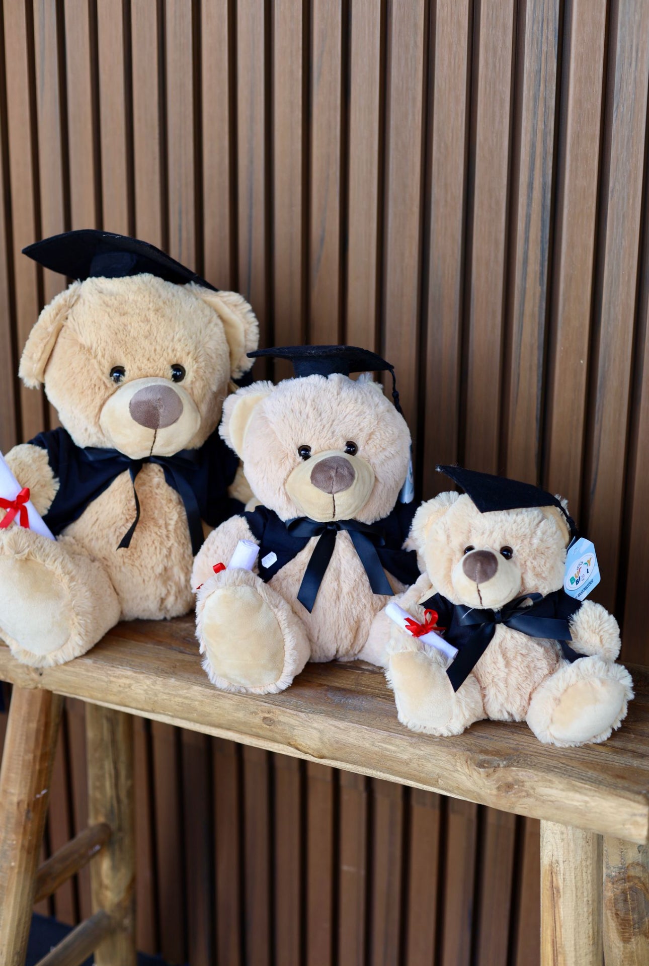 Graduation Teddy Bears