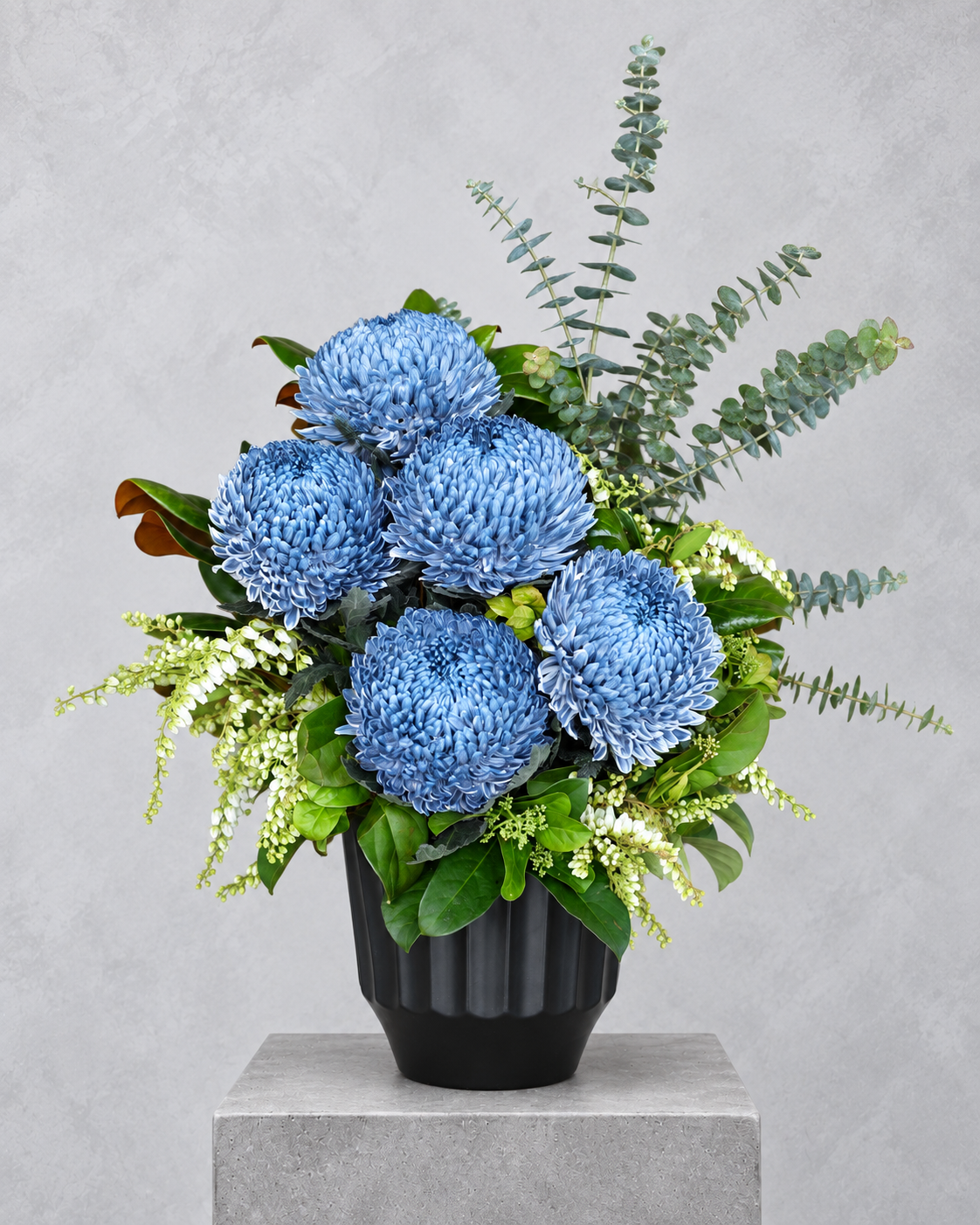 Blue chrysanthemum and eucalyptus arrangement in a black vase, by Abdo Florist Sydney